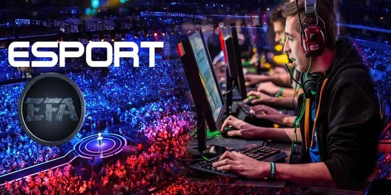 Bí quyết chơi cá cược Esport luôn thắng