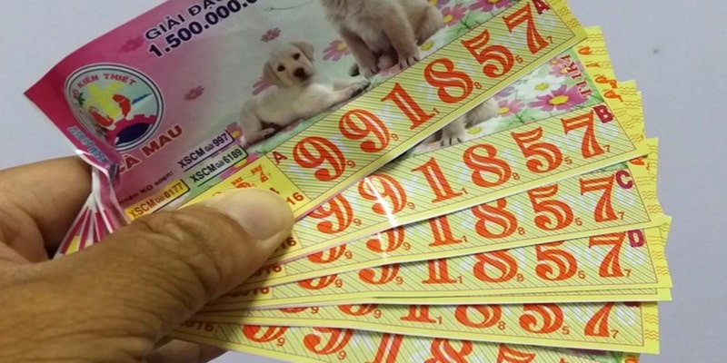 Mơ trúng xổ số đánh con gì khi là giải độc đắc