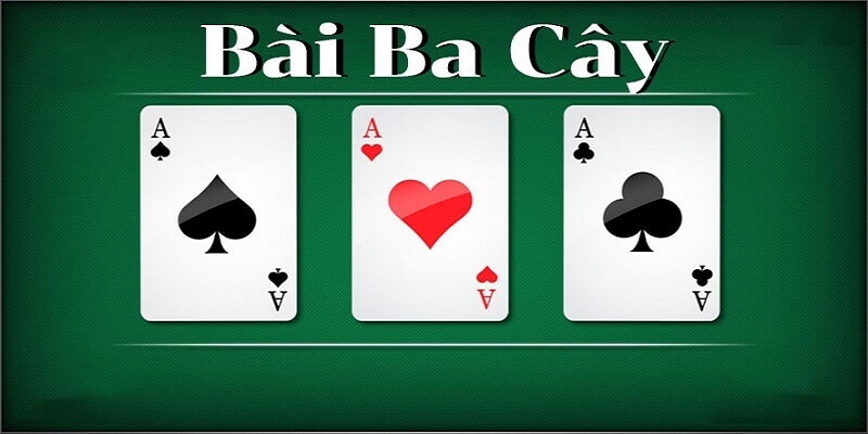 Tìm hiểu sơ bộ về bài cào