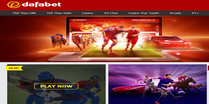 Thành viên hợp lệ tại Dafabet