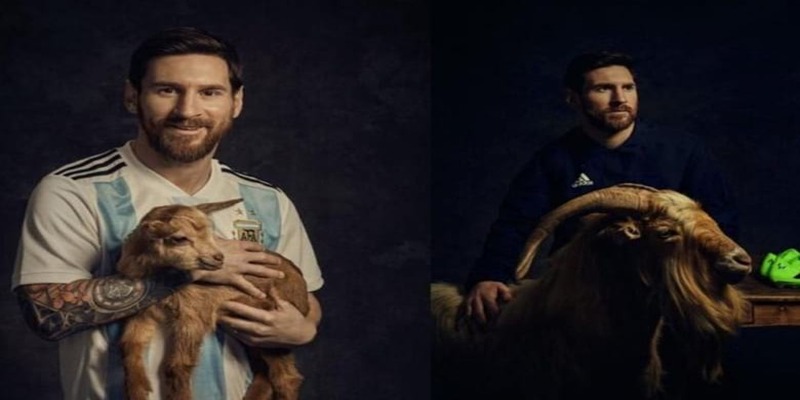 Tìm hiểu về GOAT là gì