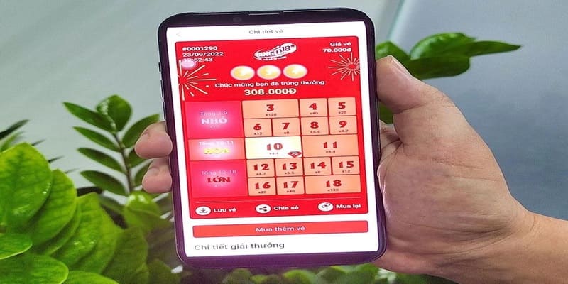 Tiêu chí lựa chọn trang web khi chơi xổ số trên mạng